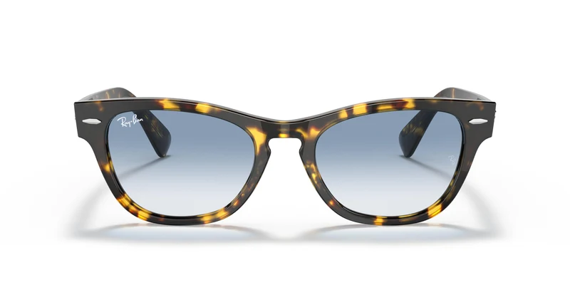 Ray-Ban RB2201 LARAMIE 13323F 54