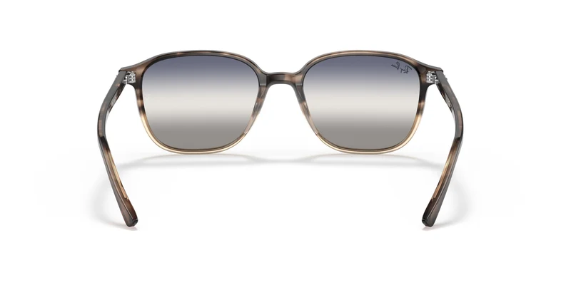 Ray-Ban RB2193 LEONARD 1327GF 53