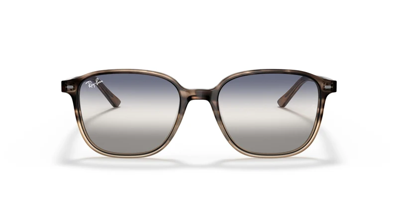 Ray-Ban RB2193 LEONARD 1327GF 53