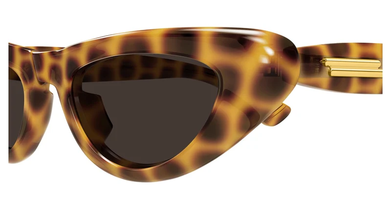 Bottega Veneta BV1450S 002 51
