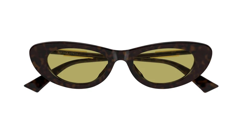 Bottega Veneta BV1447S 002 51