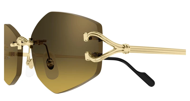 Cartier CT0620S 003 56