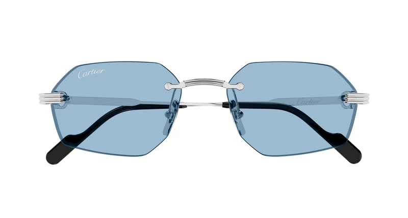 Cartier CT0616S 005 54