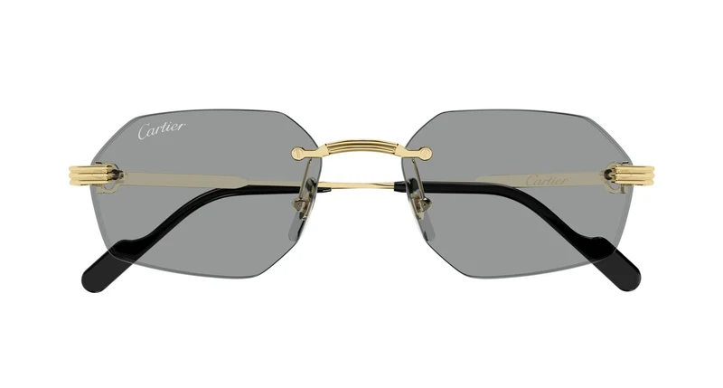 Cartier CT0616S 004 54