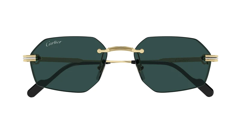 Cartier CT0616S 003 54