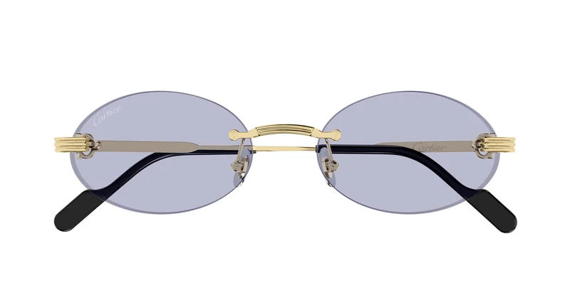 Cartier CT0615S 004 53
