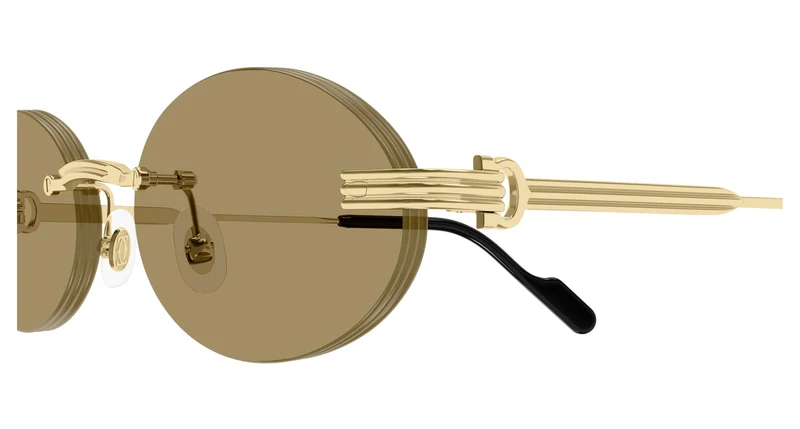 Cartier CT0615S 002 53