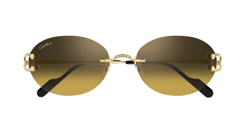 Cartier CT0551S 009 55