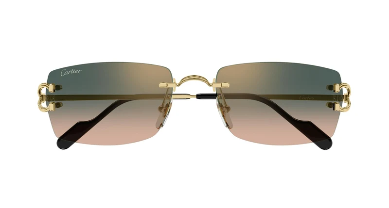Cartier CT0550S 009 56