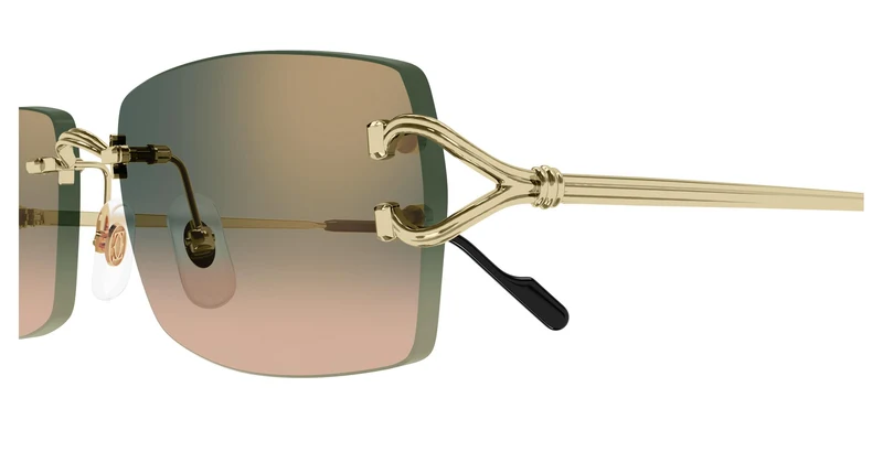 Cartier CT0550S 009 56