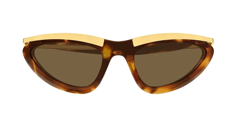 Bottega Veneta BV1477S 003 58