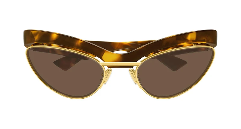 Bottega Veneta BV1480S 004 59