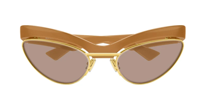Bottega Veneta BV1480S 005 59