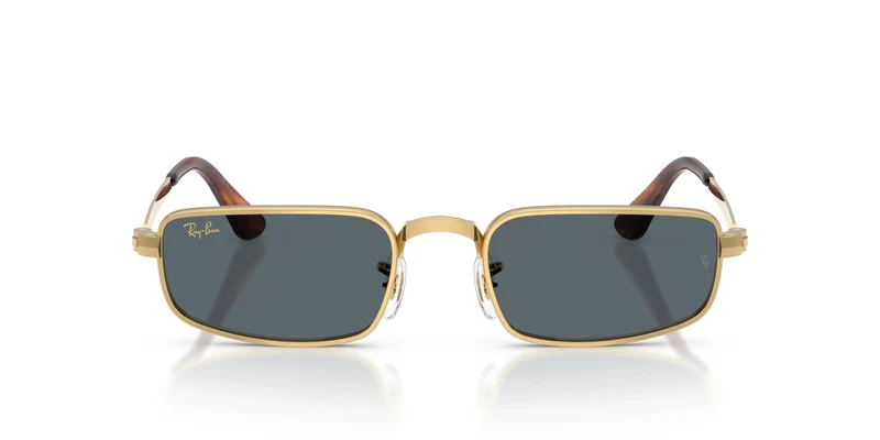 Ray-Ban RB3927 001/R5 54