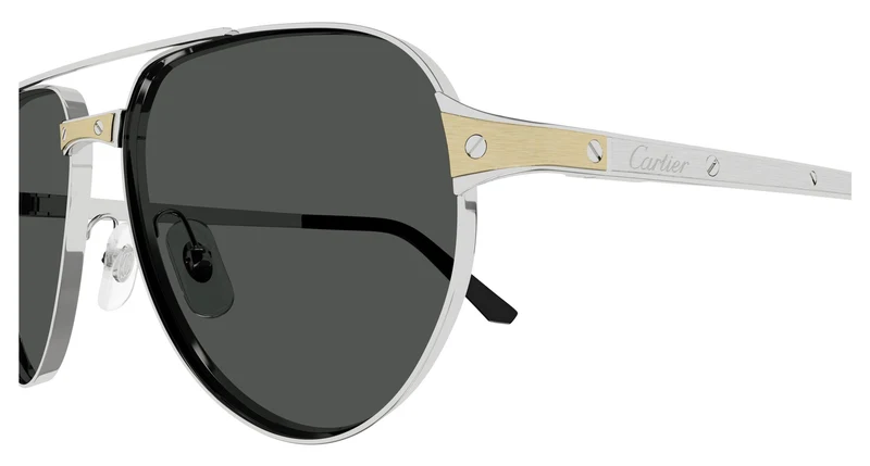 Cartier CT0425S 001 59