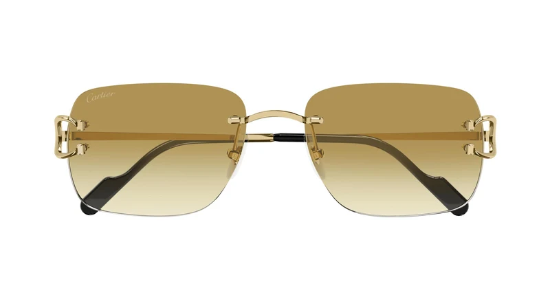 Cartier CT0330S 003 57