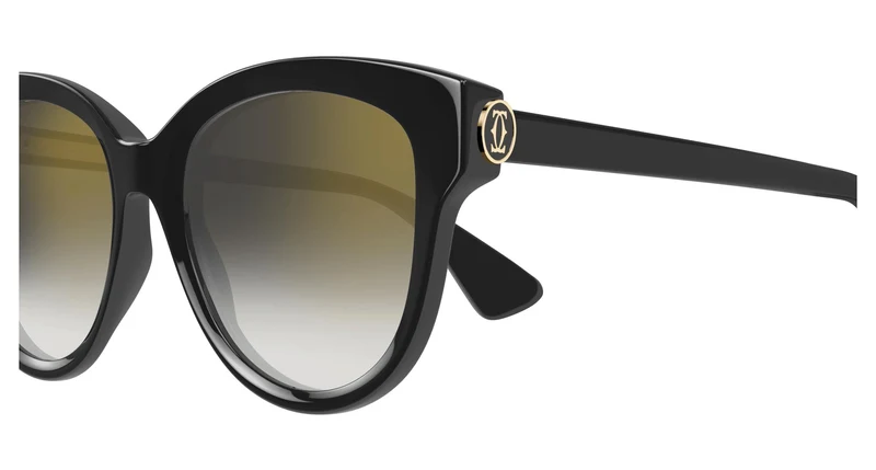 Cartier CT0506S 001 55