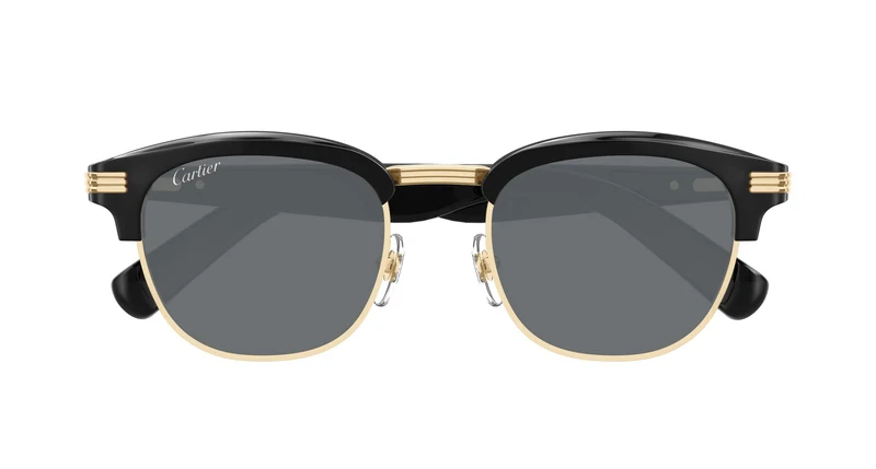 Cartier CT0496S 003 52