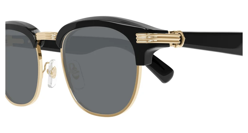 Cartier CT0496S 003 52