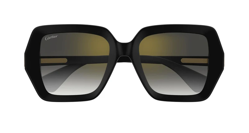 Cartier CT0507S 001 54