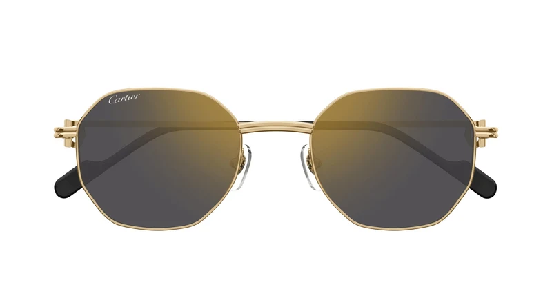 Cartier CT0500S 001 50