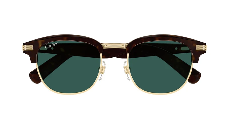 Cartier CT0496S 002 52