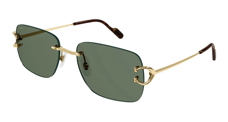 Cartier CT0330S 002 57