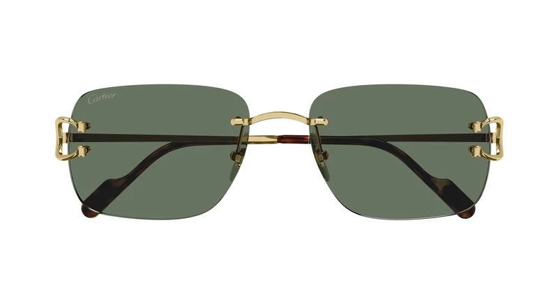 Cartier CT0330S 002 57