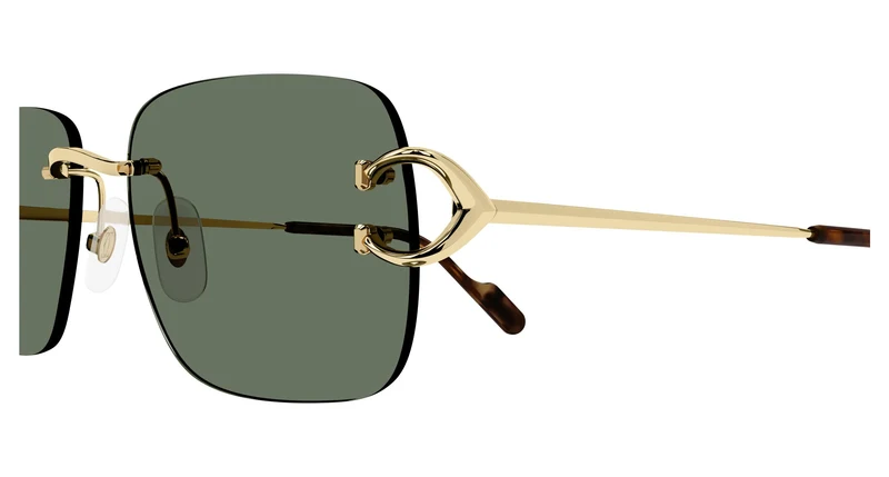Cartier CT0330S 002 57