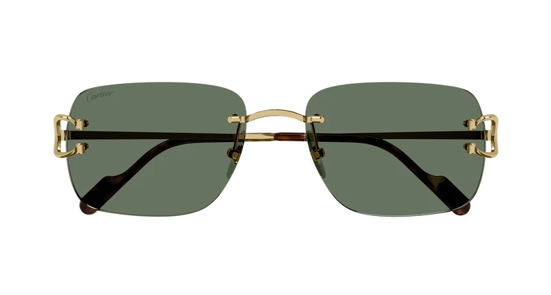 Cartier CT0330S 005 59