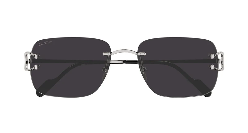 Cartier CT0330S 001 57