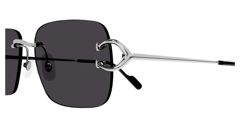 Cartier CT0330S 001 57