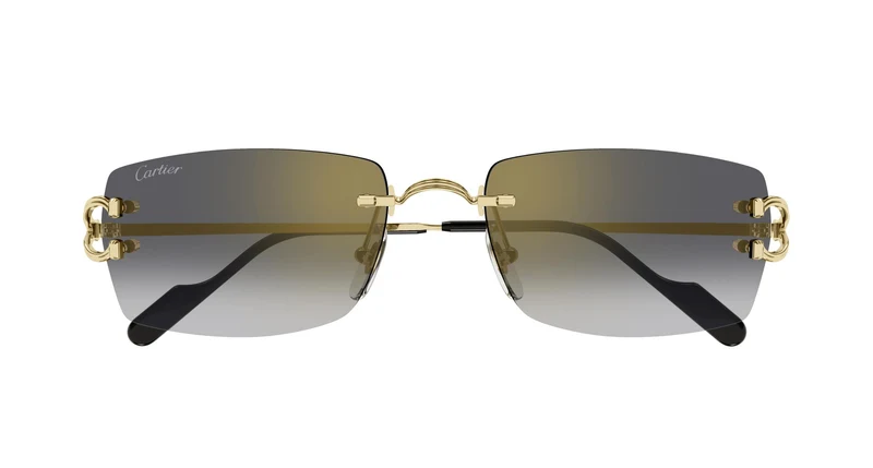 Cartier CT0550S 001 56