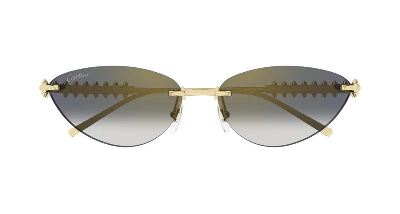 Cartier CT0543S 001 58