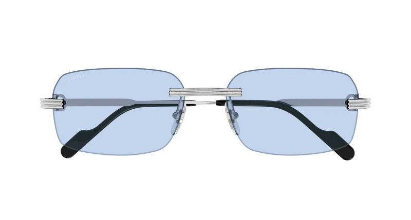 Cartier CT0271S 011 58