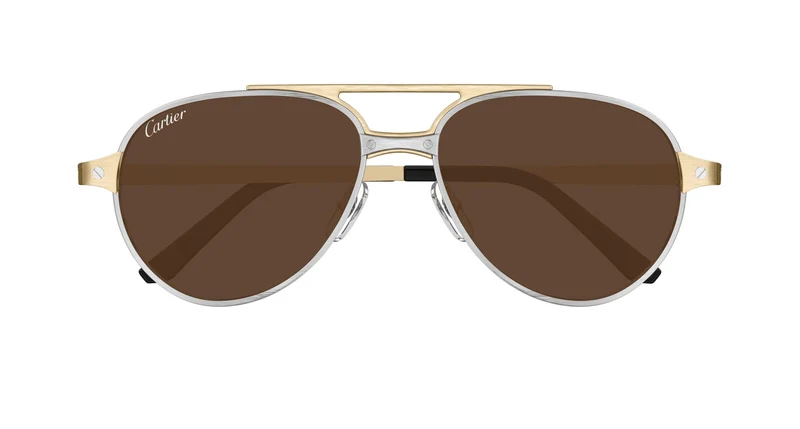 Cartier CT0476S 008 59