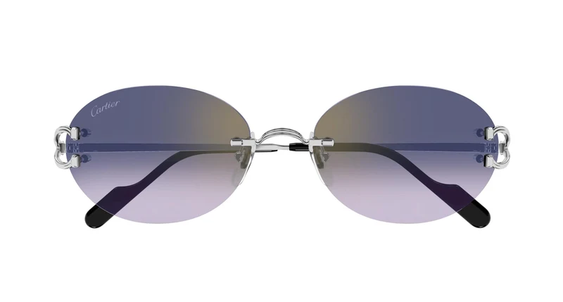 Cartier CT0551S 003 55