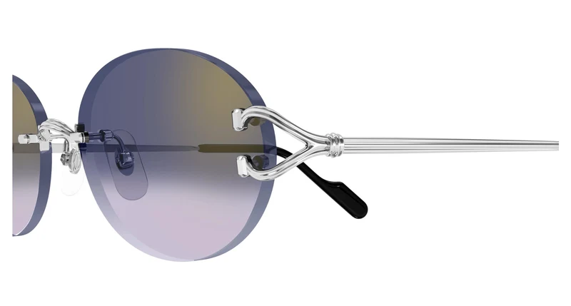 Cartier CT0551S 003 55