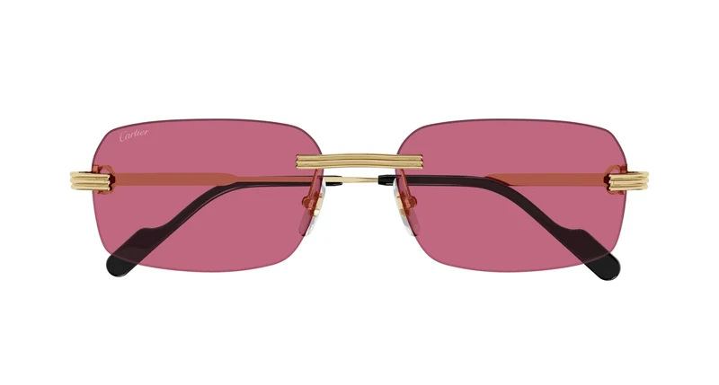 Cartier CT0271S 010 58