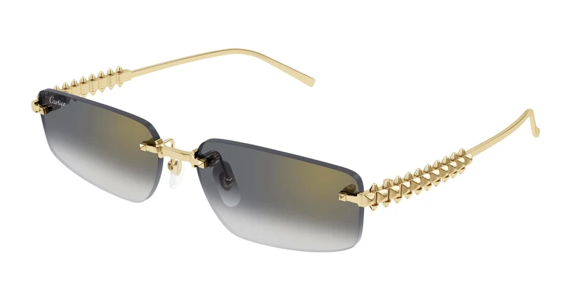 Cartier CT0544S 001 58