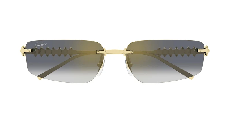 Cartier CT0544S 001 58