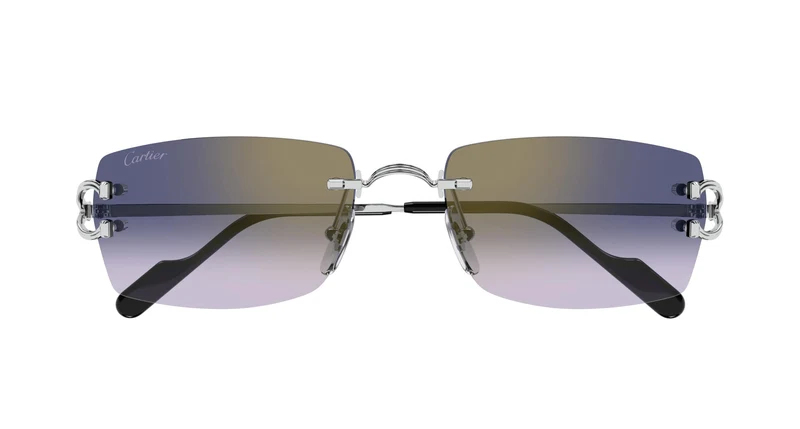 Cartier CT0550S 003 56