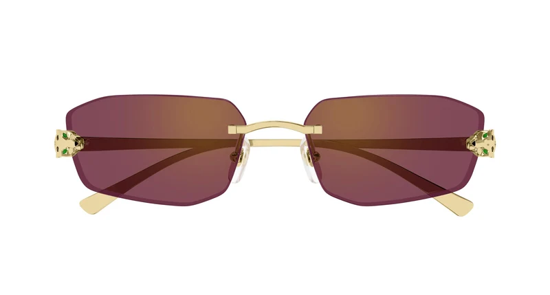 Cartier CT0474S 002 56