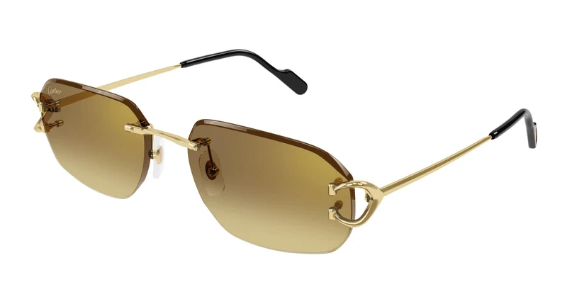 Cartier CT0468S 004 58