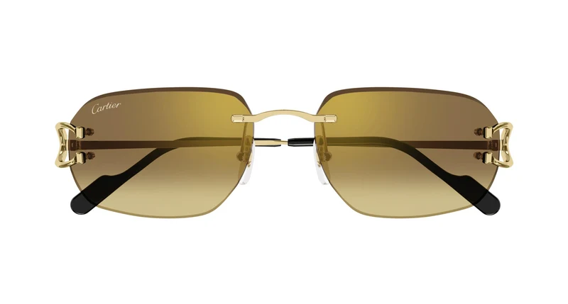 Cartier CT0468S 004 58