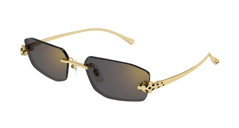 Cartier CT0474S 001 56