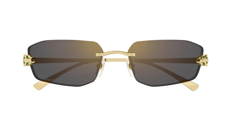 Cartier CT0474S 001 56