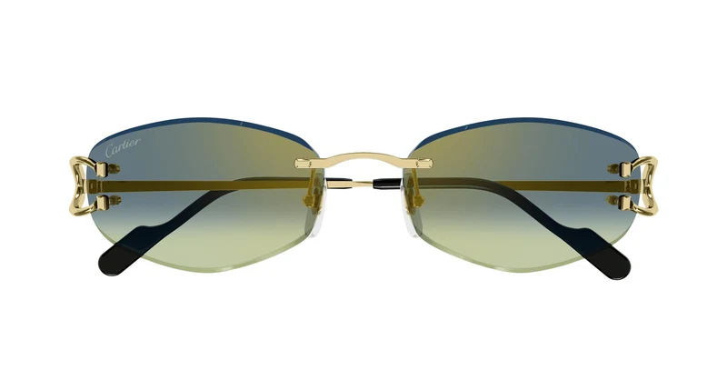 Cartier CT0467S 003 57
