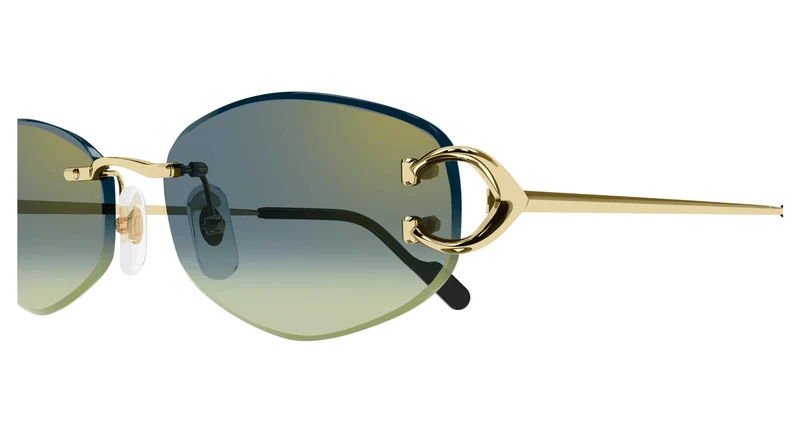 Cartier CT0467S 003 57