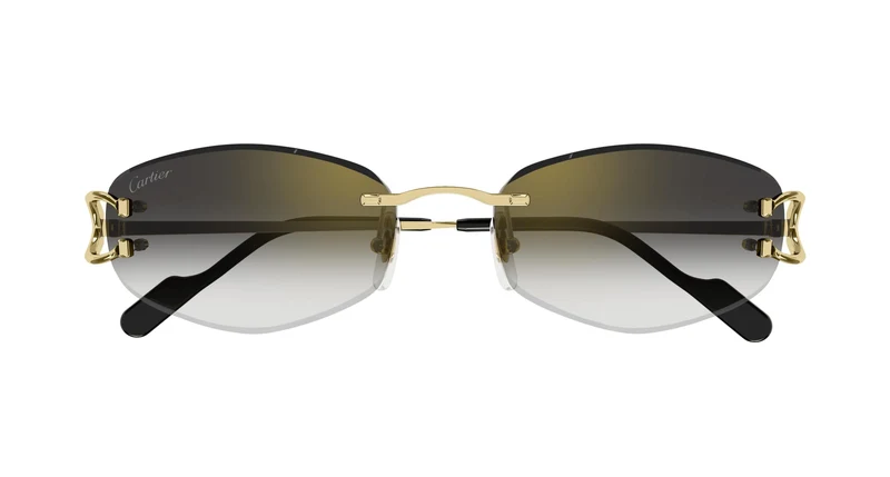 Cartier CT0467S 001 57